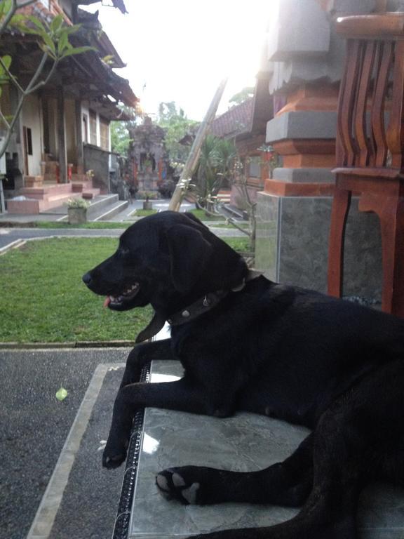 D'Jero Homestay Ubud Esterno foto